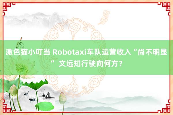 激色猫小叮当 Robotaxi车队运营收入“尚不明显” 文远知行驶向何方？