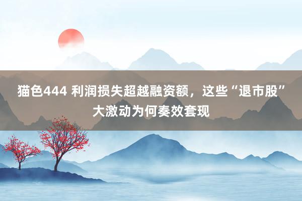 猫色444 利润损失超越融资额，这些“退市股”大激动为何奏效套现