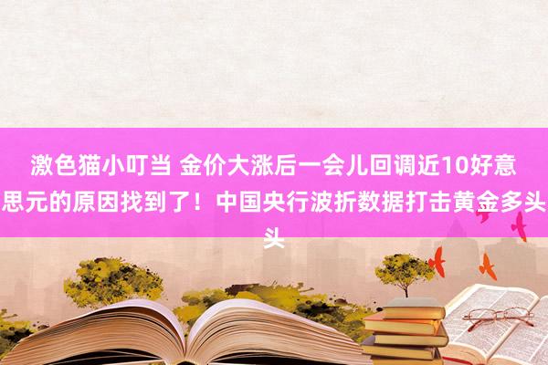 激色猫小叮当 金价大涨后一会儿回调近10好意思元的原因找到了！中国央行波折数据打击黄金多头