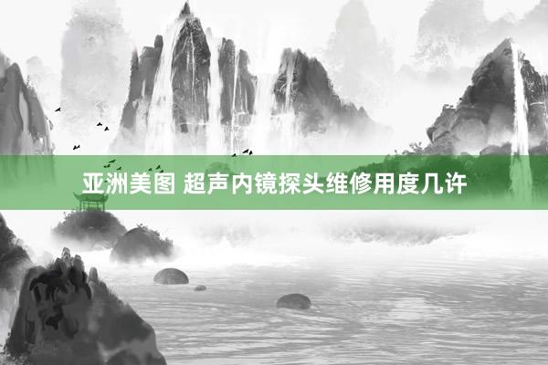 亚洲美图 超声内镜探头维修用度几许