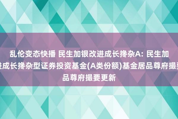 乱伦变态快播 民生加银改进成长搀杂A: 民生加银改进成长搀杂型证券投资基金(A类份额)基金居品尊府撮要更新