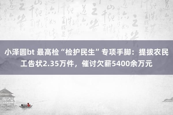 小泽圆bt 最高检“检护民生”专项手脚：提拔农民工告状2.35万件，催讨欠薪5400余万元