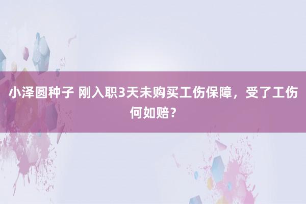 小泽圆种子 刚入职3天未购买工伤保障，受了工伤何如赔？