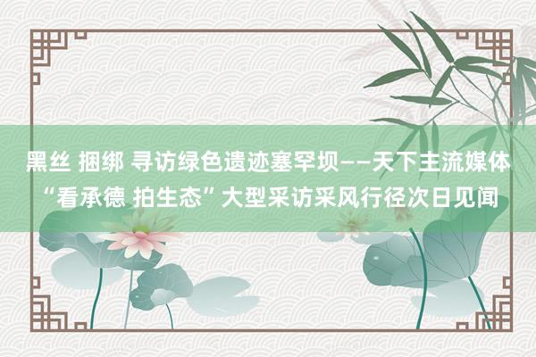 黑丝 捆绑 寻访绿色遗迹塞罕坝——天下主流媒体“看承德 拍生态”大型采访采风行径次日见闻