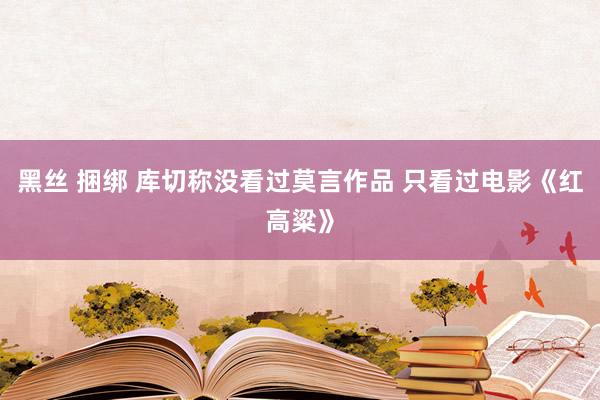 黑丝 捆绑 库切称没看过莫言作品 只看过电影《红高粱》