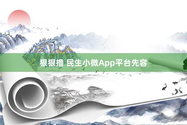 狠狠撸 民生小微App平台先容