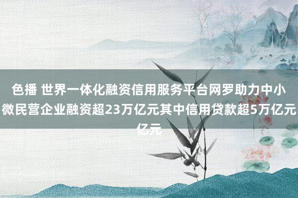 色播 世界一体化融资信用服务平台网罗助力中小微民营企业融资超23万亿元其中信用贷款超5万亿元