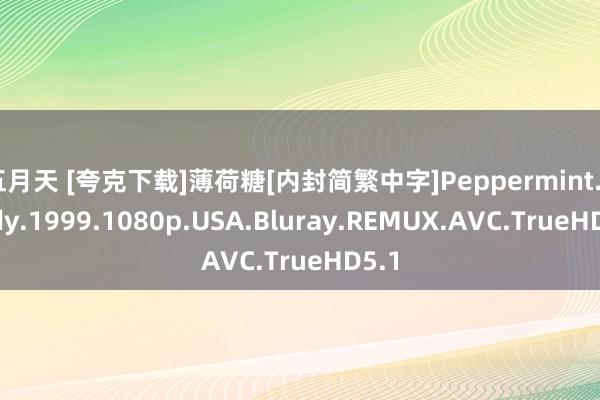 五月天 [夸克下载]薄荷糖[内封简繁中字]Peppermint.Candy.1999.1080p.USA.Bluray.REMUX.AVC.TrueHD5.1