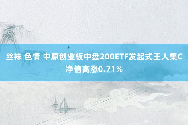 丝袜 色情 中原创业板中盘200ETF发起式王人集C净值高涨0.71%