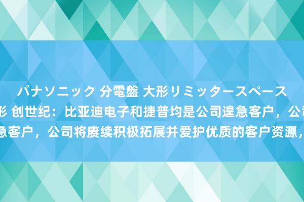 パナソニック 分電盤 大形リミッタースペース付 露出・半埋込両用形 创世纪：比亚迪电子和捷普均是公司遑急客户，公司将赓续积极拓展并爱护优质的客户资源，以获取更多订单