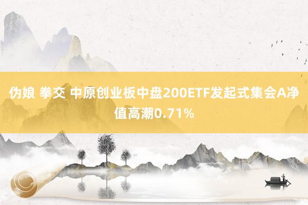 伪娘 拳交 中原创业板中盘200ETF发起式集会A净值高潮0.71%